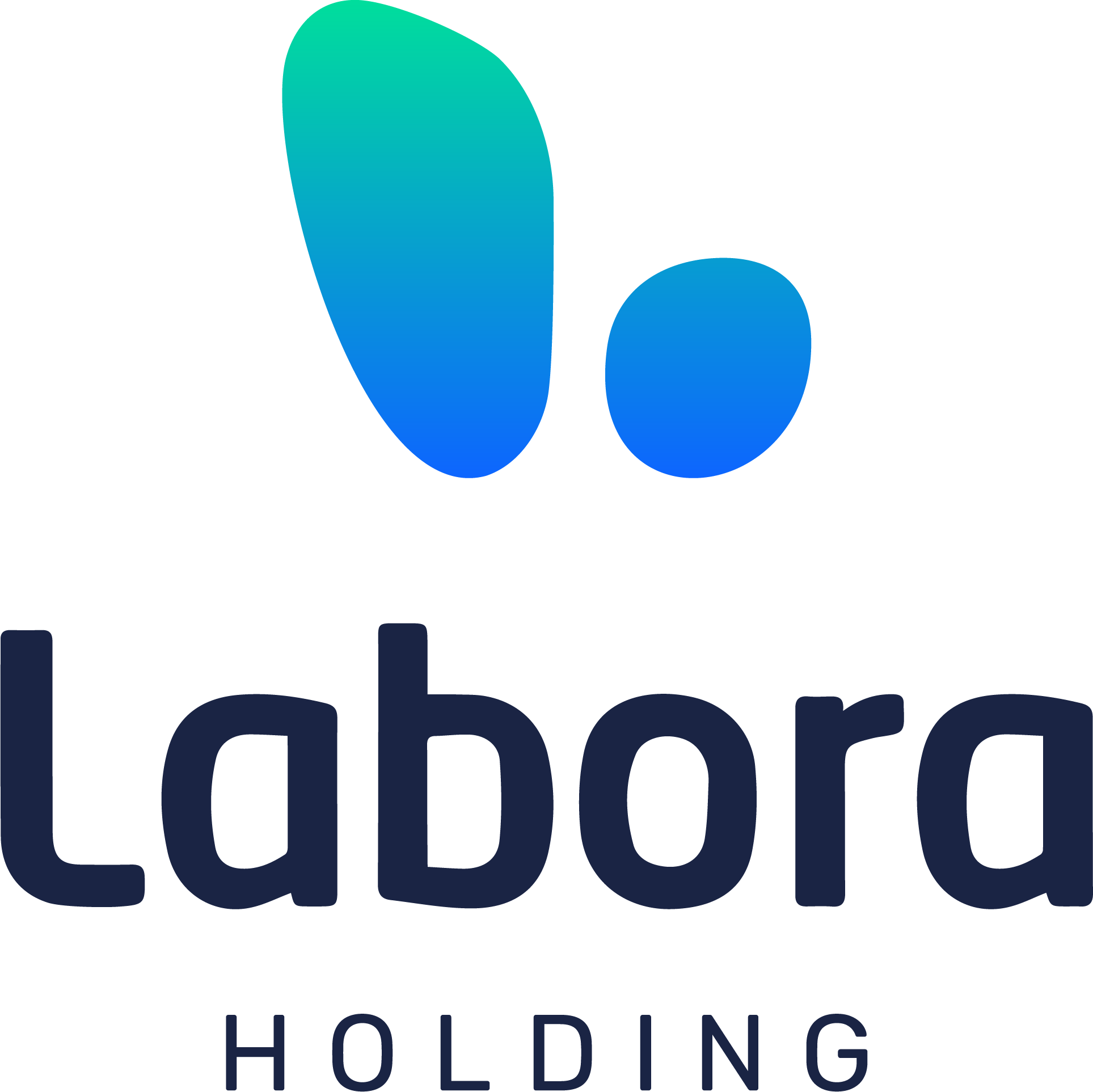 Labora_Holding_Voll_RGB_Dark